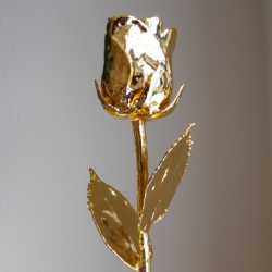 Platinschmuck Goldrose 24cm - echte Rose Gold plattiert