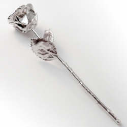 Platinschmuck Silberrose 24 cm - Silberne Rose